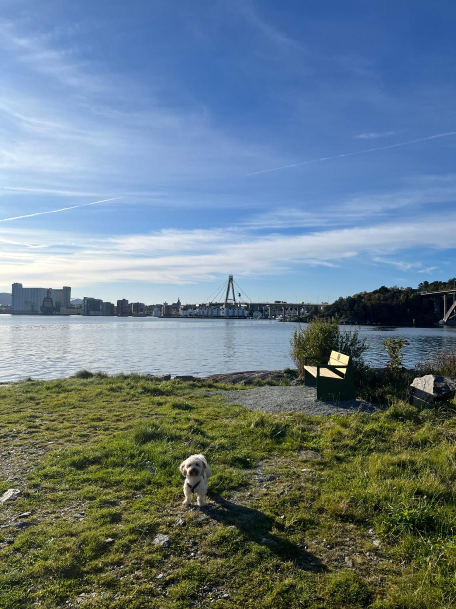 Lovely Apartment In Maritime Surroundings Near Stavanger Exterior foto